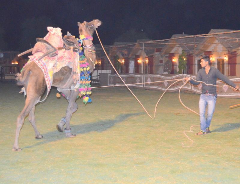 Hotel Vijayvargiya Dhani Bikaner Eksteriør bilde